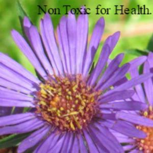 https://www.nontoxicforhealth.com/non-toxic-fb.jpg